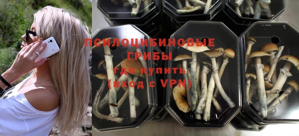 скорость Алексин