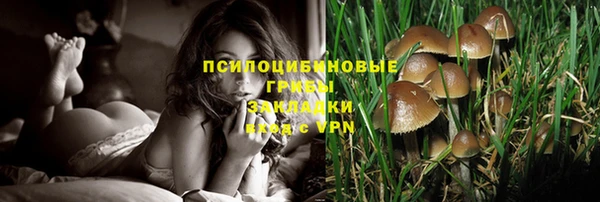 mix Алексеевка